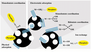 image file: d5su00818b-f9.tif