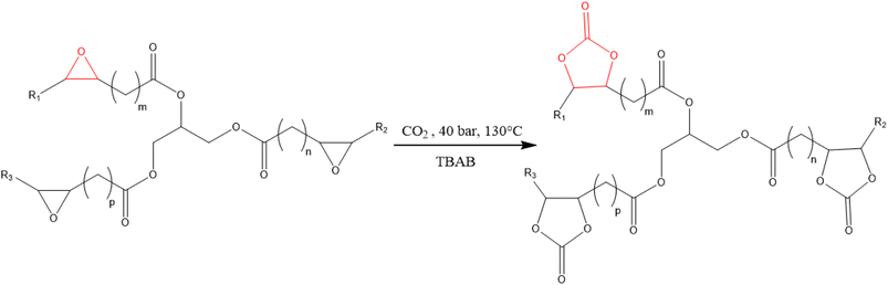 image file: d5su00946d-s1.tif