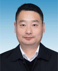 image file: d5ta04253d-p3.tif