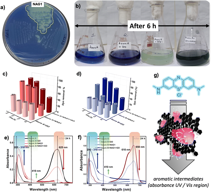image file: d5ta06267e-f4.tif