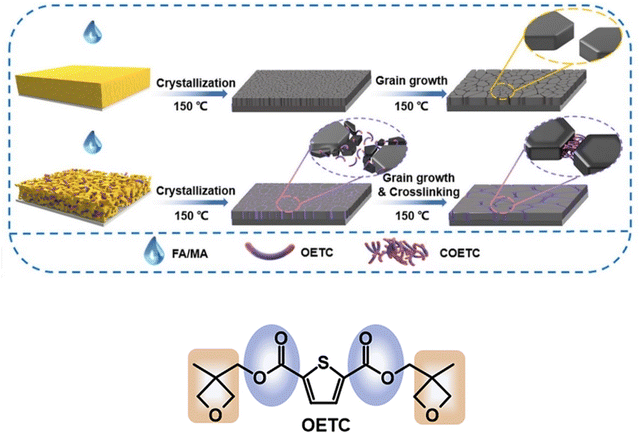 image file: d5ta07481a-f11.tif