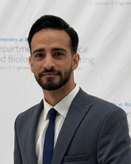 image file: d5ta07953e-p1.tif