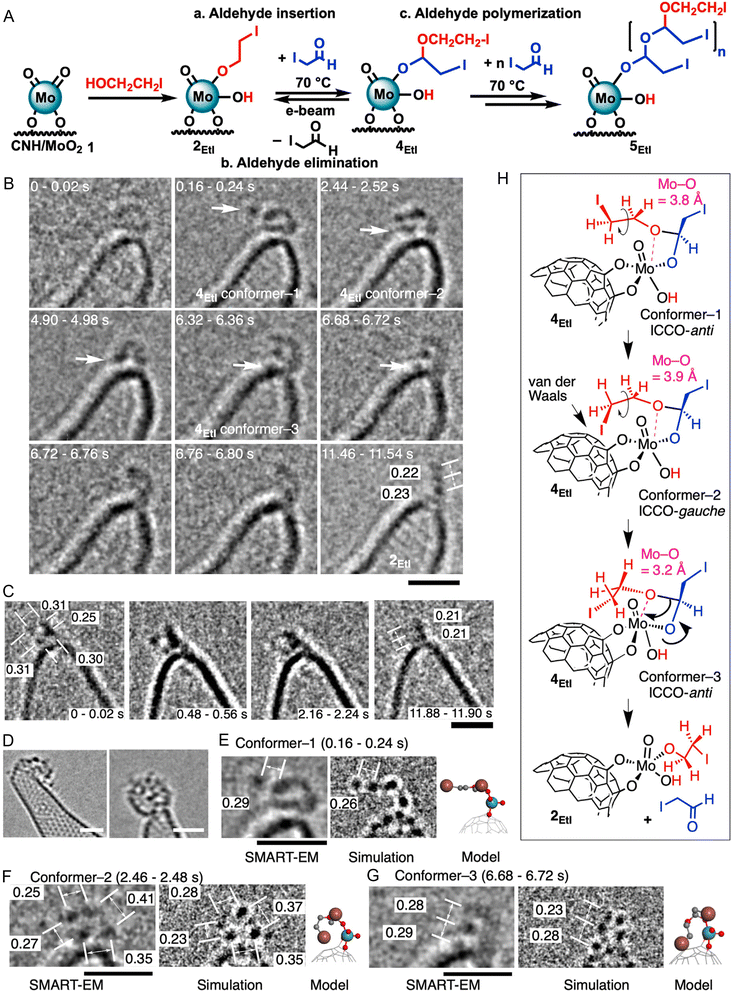 image file: d5ta08027d-f6.tif