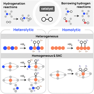 image file: d5ta08094k-f1.tif
