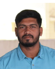 image file: d5ta08186f-p1.tif