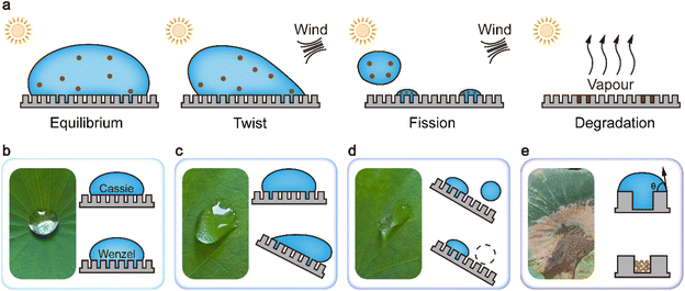 image file: d5ta09855f-f2.tif