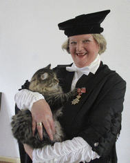 image file: d5ta90288f-u1.tif