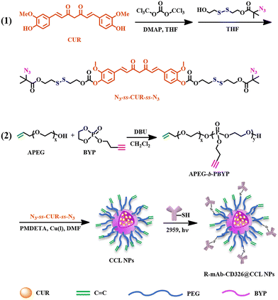 image file: d5tb02193f-f11.tif