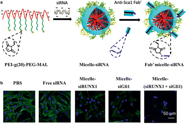 image file: d5tb02193f-f12.tif