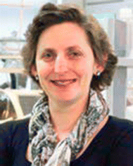 image file: d5tb02193f-p2.tif