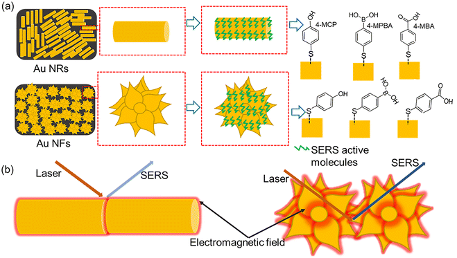 image file: d5tc02771c-f5.tif