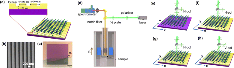 image file: d5tc03319e-f1.tif
