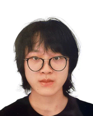 image file: d5tc03743c-p3.tif