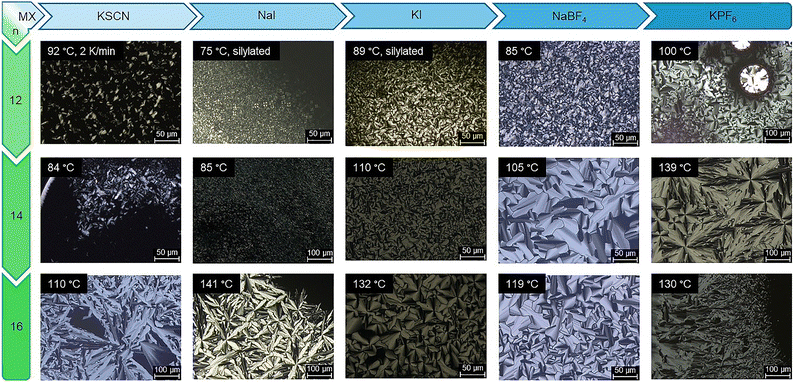 image file: d5tc04129e-f3.tif