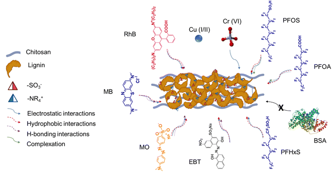 image file: d5va00282f-f7.tif