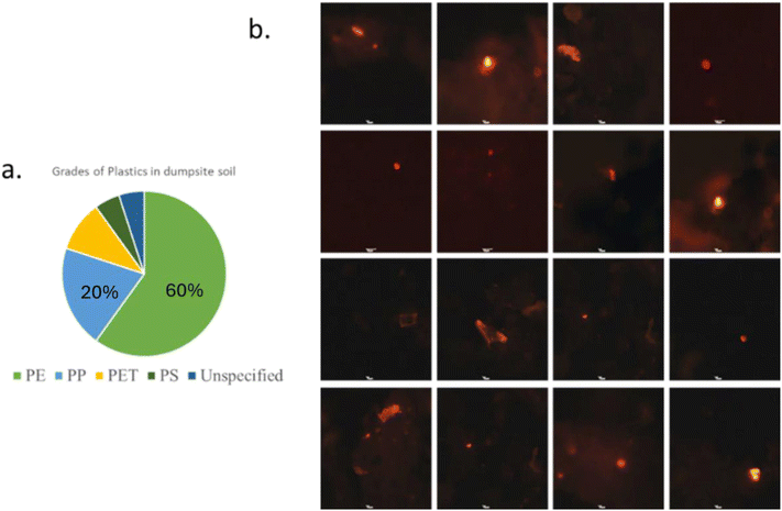 image file: d5va00288e-f2.tif