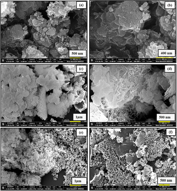 image file: d5ya00191a-f3.tif