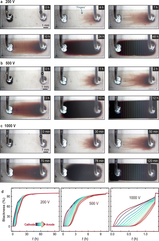 image file: d5ya00338e-f2.tif