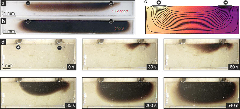 image file: d5ya00338e-f5.tif