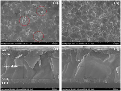 image file: d5ya00348b-f2.tif