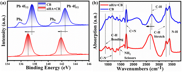 image file: d5ya00348b-f4.tif