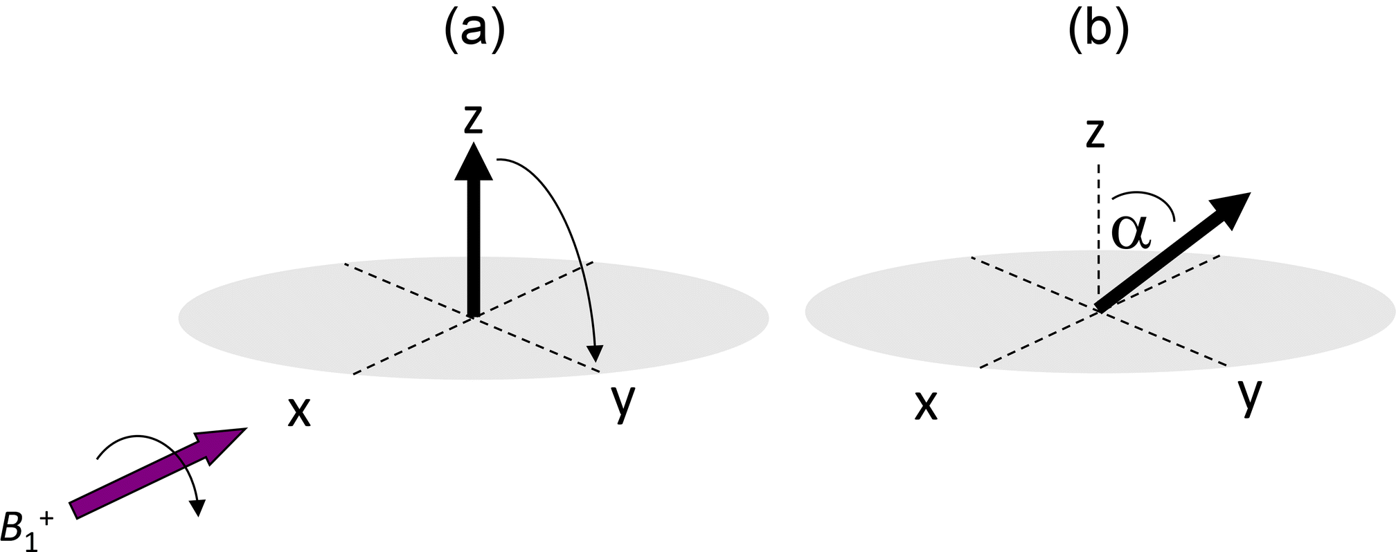 Chapter 1 The Principles Of Magnetic Resonance And Associated Hardware Rsc Publishing Doi 10 1039