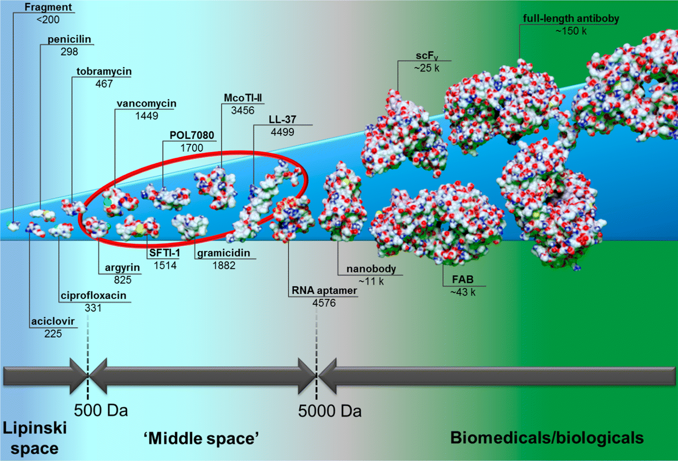 peptides building blocks