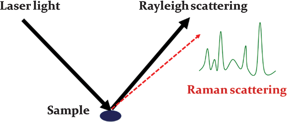 Chapter 1 Raman Spectroscopic Sensing In Food Safety And Quality Analysis Rsc Publishing Doi 10 1039 9781788010528 00001