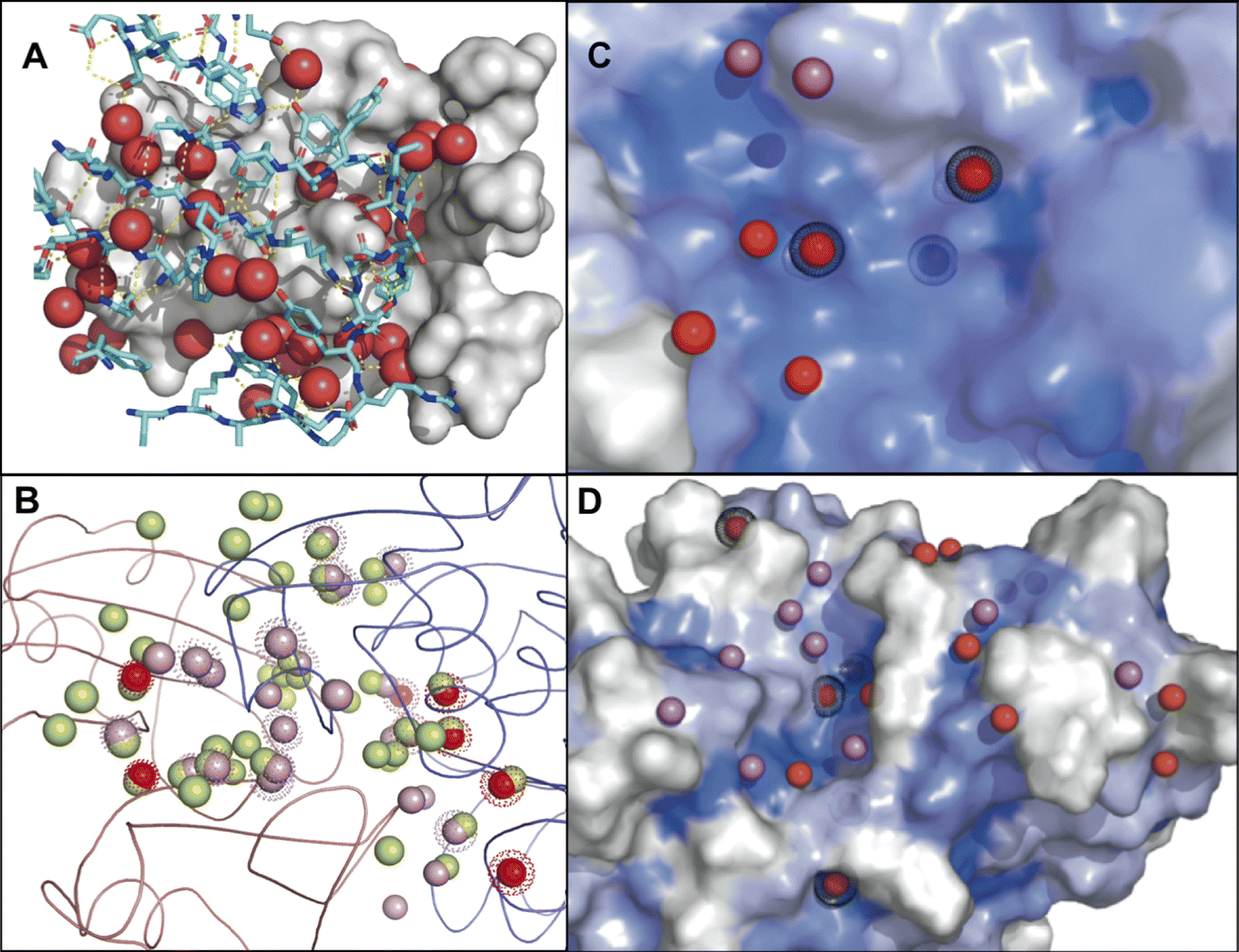 CHAPTER 1 Protein–Protein Interaction Interfaces And Their Functional ...