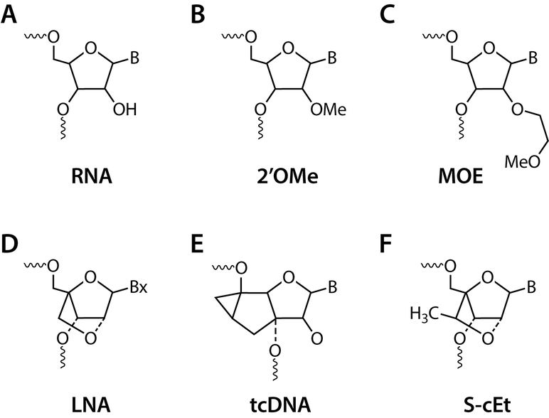 Forskelle Almindelig Fremmedgørelse CHAPTER 1 History and Development of Nucleotide Analogues in Nucleic Acids  Drugs (RSC Publishing) DOI:10.1039/9781788015714-00001