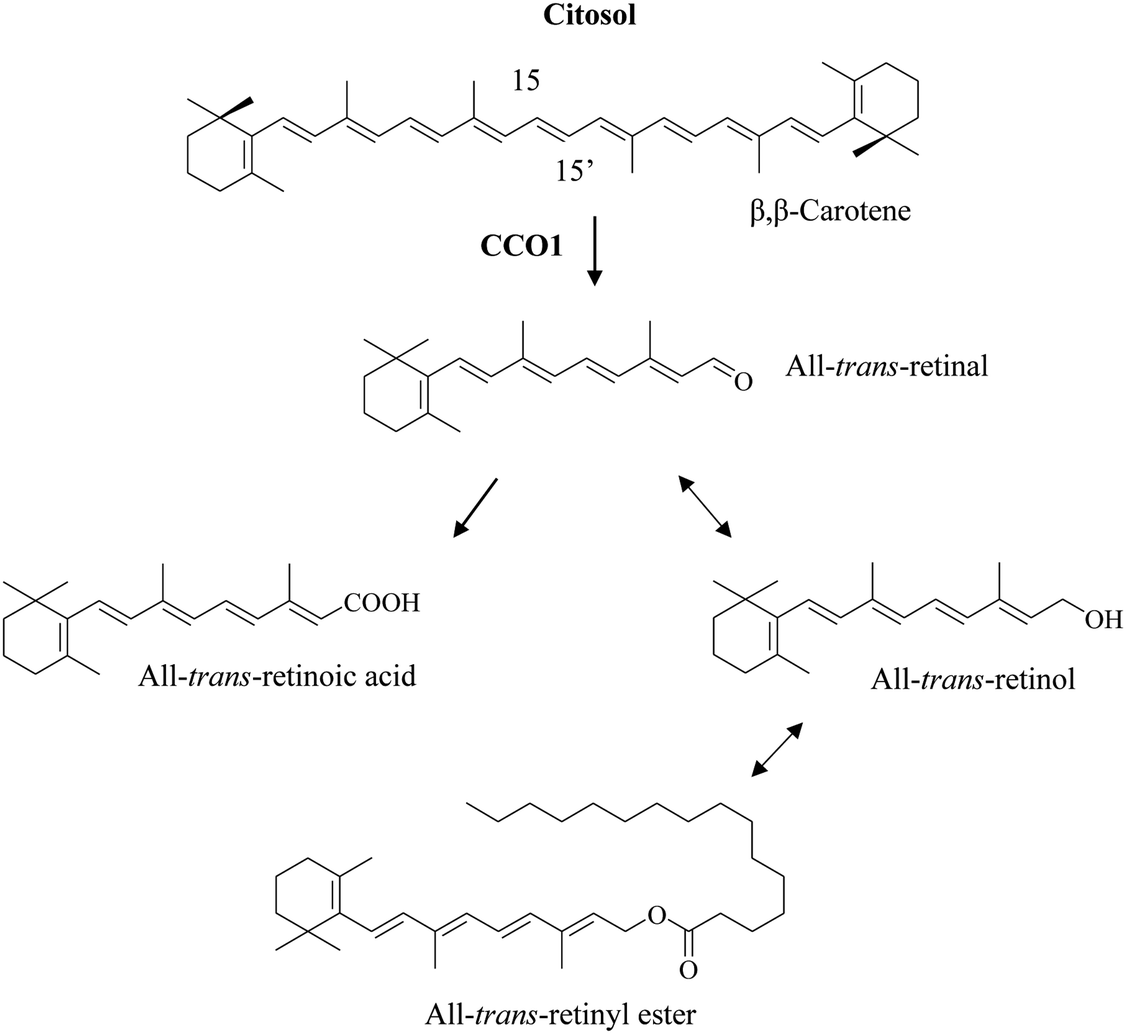 Chapter 1 Structures Nomenclature And General Chemistry Of Carotenoids And Their Esters Rsc Publishing Doi 10 1039