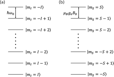 Chapter 1 Nmr Principles Of Paramagnetic Materials Rsc Publishing Doi 10 1039