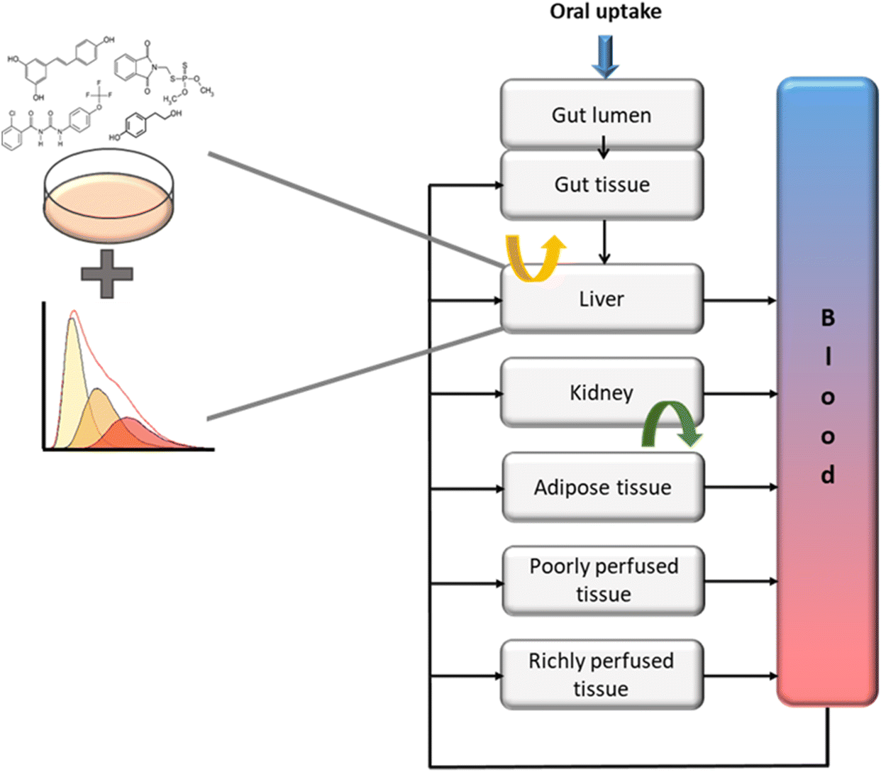 Risk Assessment Of Chemicals In Food And Feed Principles Applications And Future Perspectives Rsc Publishing Doi 10 1039 9781839160431 00001