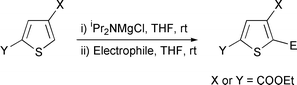 Graphical abstract: Selective metallation of thiophene and thiazole rings with magnesium amide base