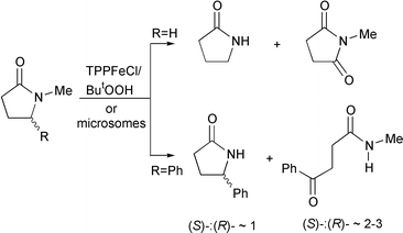 Graphical abstract: Chemical and microsomal oxidation of tertiary amides: regio- and stereoselective aspects