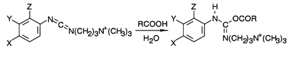 Graphical abstract: Substituent effects in the addition of carboxylic acids to arylcarbodiimides