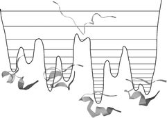 Graphical abstract: Parallel tempering: Theory, applications, and new perspectives