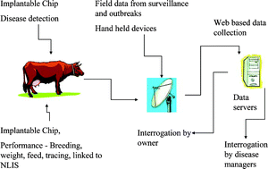 Graphical abstract: The role of biosensors in the detection of emerging infectious diseases