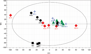 Graphical abstract: A pragmatic and readily implemented quality control strategy for HPLC-MS and GC-MS-based metabonomic analysis