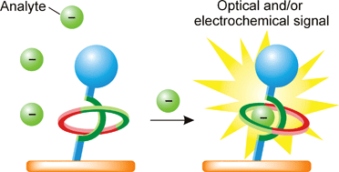 Graphical abstract: Interlocked host rotaxane and catenane structures for sensing charged guest species via optical and electrochemical methodologies