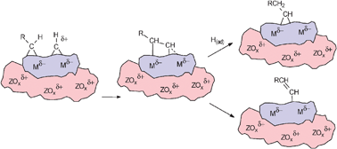 Graphical abstract: The role of electrophilic species in the Fischer–Tropsch reaction
