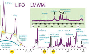 Graphical abstract: High-throughput serum NMR metabonomics for cost-effective holistic studies on systemic metabolism