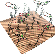 Graphical abstract: Mechanically interlocked and switchable molecules at surfaces