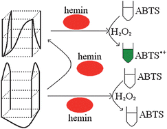 Graphical abstract: Structure–function study of peroxidase-like G-quadruplex-hemin complexes