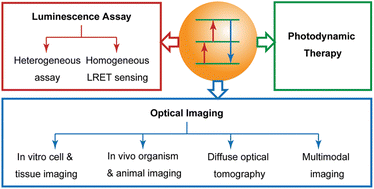 Graphical abstract: Upconversion nanoparticles in biological labeling, imaging, and therapy