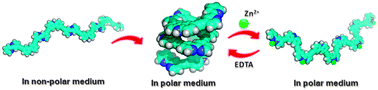 Graphical abstract: Conformational control in a bipyridine linked π-conjugated oligomer: cation mediated helix unfolding and refolding