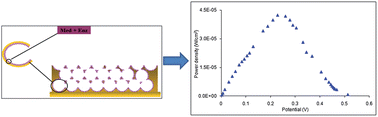 Graphical abstract: A glucose/oxygen enzymatic fuel cell based on redox polymer and enzyme immobilisation at highly-ordered macroporous gold electrodes
