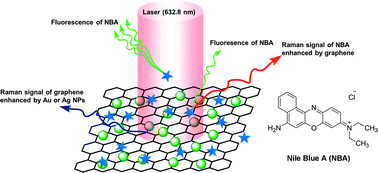 Graphical abstract: Competitive surface-enhanced Raman scattering effects in noble metal nanoparticle-decorated graphene sheets