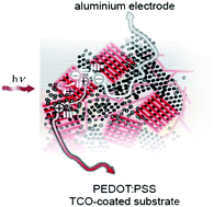 Graphical abstract: Fullerene crystallisation as a key driver of charge separation in polymer/fullerene bulk heterojunction solar cells