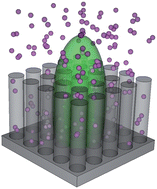 Graphical abstract: Exploring doxorubicin localization in eluting TiO2 nanotube arrays through fluorescence correlation spectroscopy analysis